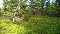 Line_20220808_62f16c4423668.jpg