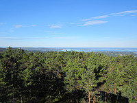Line_20220810_62f3769cd9f10.jpg