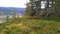 Almåsåsen