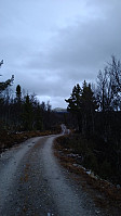 Line_20221105_6366bef14a217.jpg