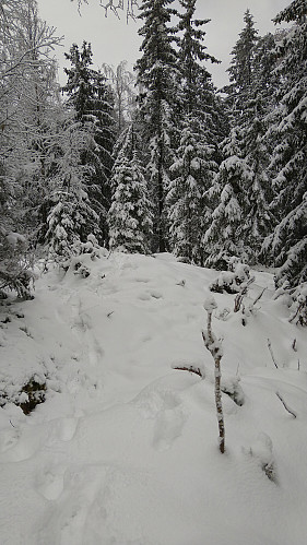 Solbergåsen.