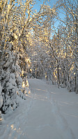 Line_20221213_63987f97cf8ea.jpg