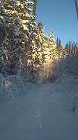 Line_20221213_63987f99a6351.jpg