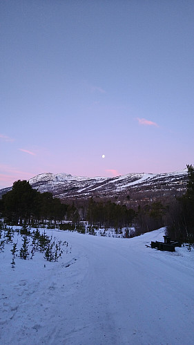 Fin morgen i Morkavegen 
