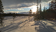 Line_20230111_63bec838c23d2.jpg