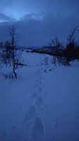 Line_20230205_63dff80967ad8.jpg