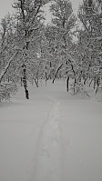 Line_20230211_63e7b82697e80.jpg