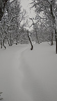 Line_20230211_63e7b8284ff64.jpg