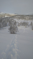Line_20230211_63e7b82c90caa.jpg