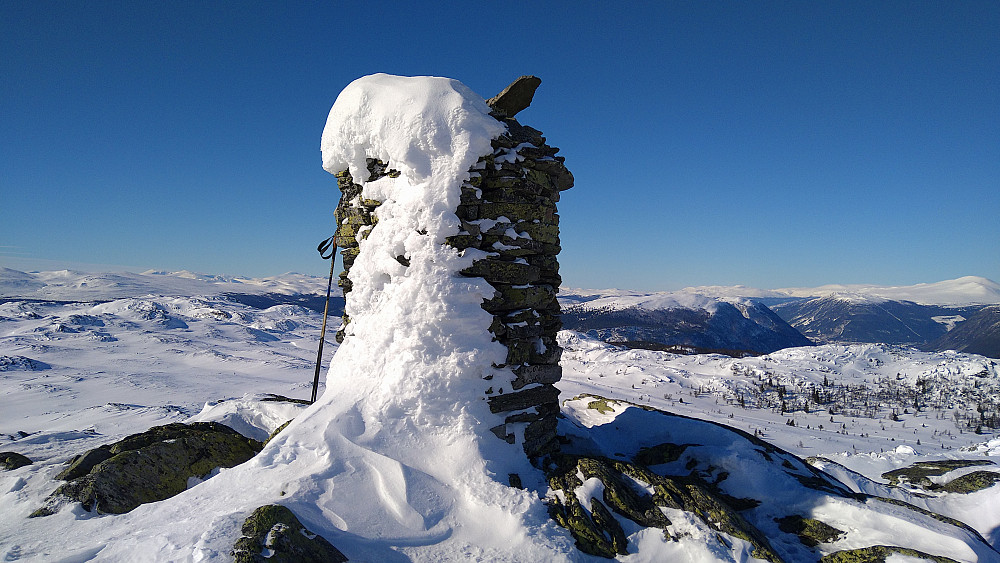 Fjellmillopiggen
