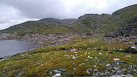 Line_20230501_645014282385c.jpg