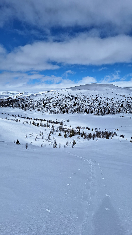 Opp mot Gravfjellet. 