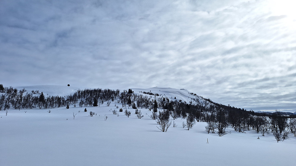 Myrebærhammaren. 