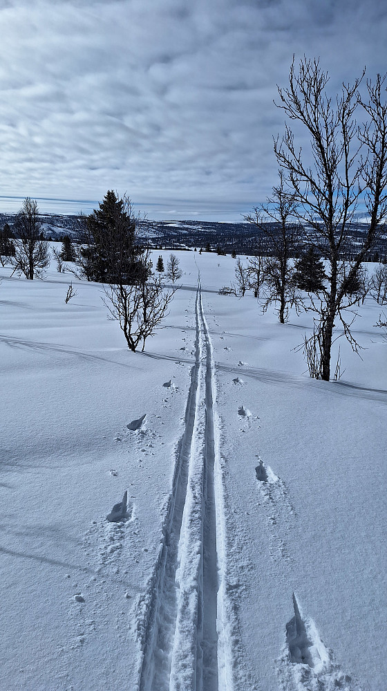 Lett å tråkke spor selv i dag.