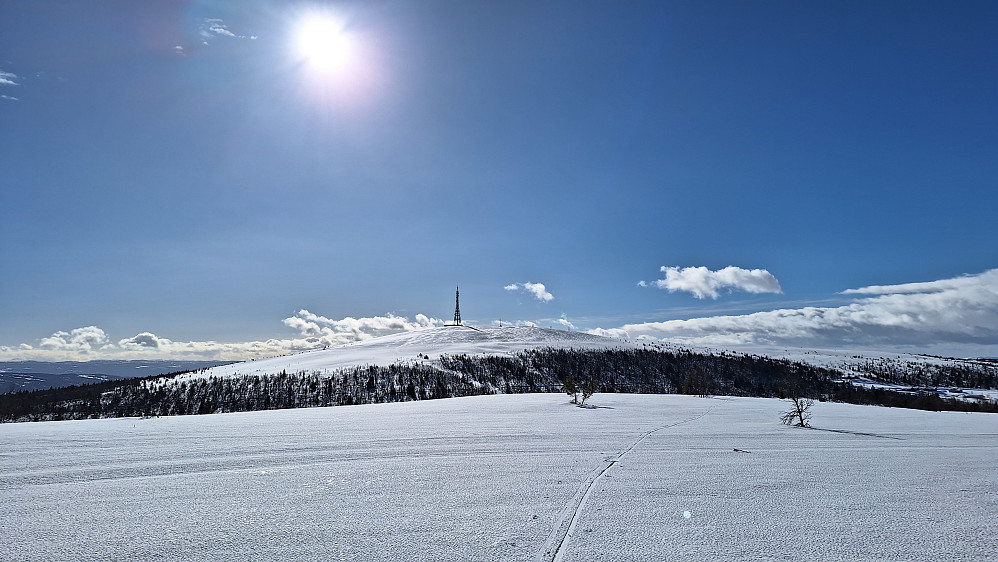Tilbakeblikk fra Storhøvda.