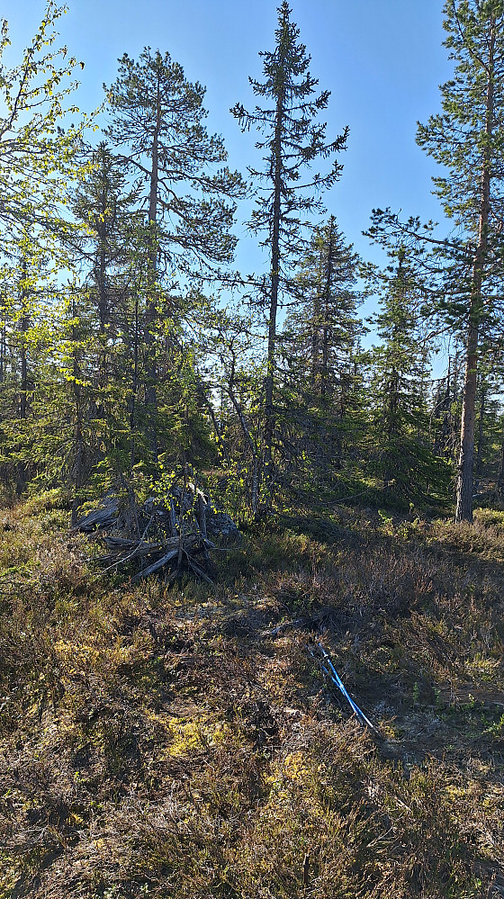 Gamle rester. 