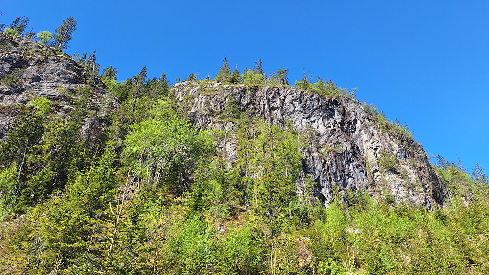 Tjuvhanskollen. 