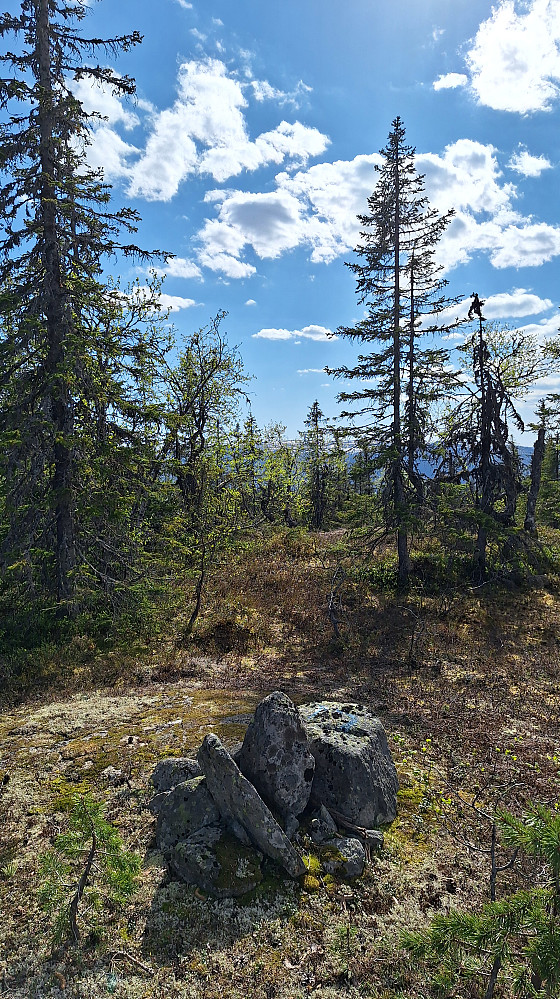 Jevnlisfjellet sør.