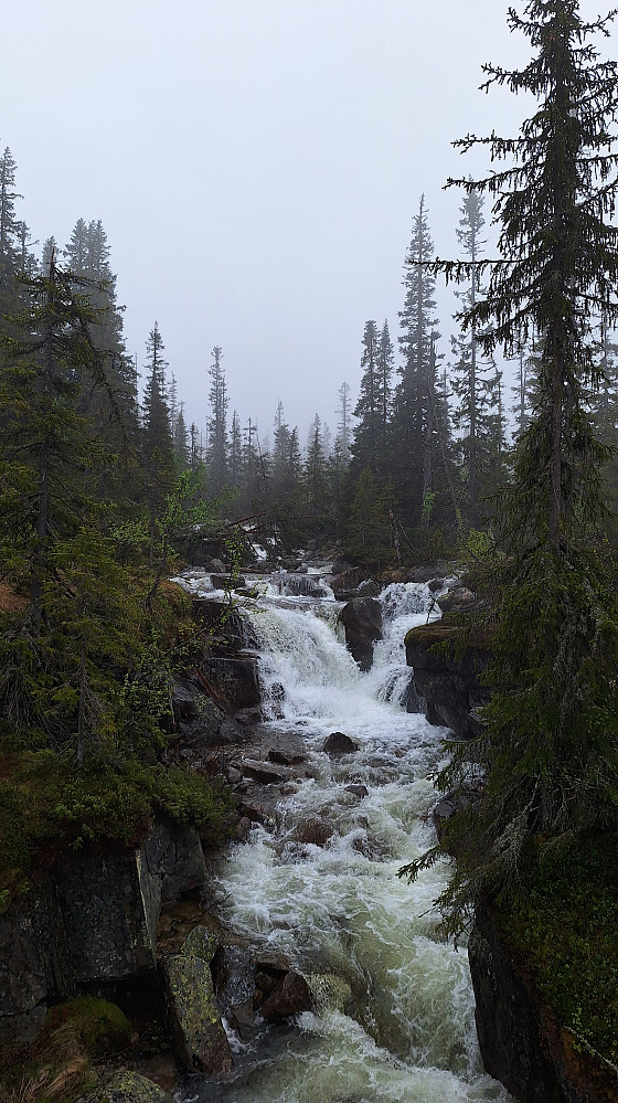 Fjellelva.