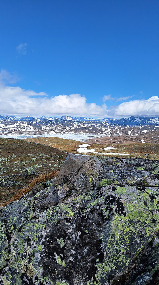Tverrnakken. 