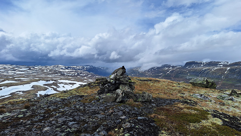 Svarteknippa. 