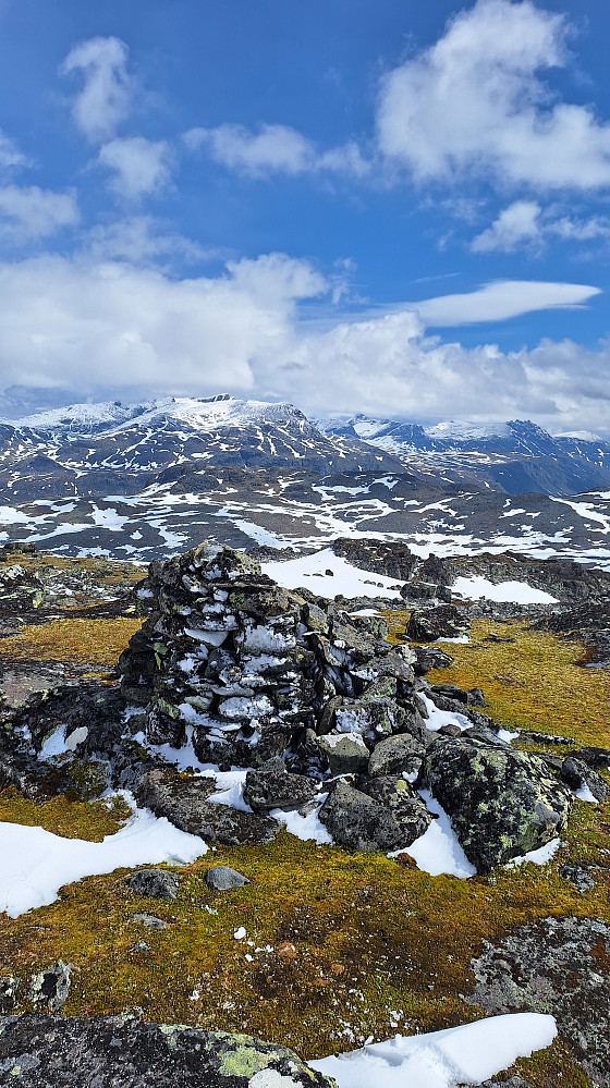 Skjenegge. 