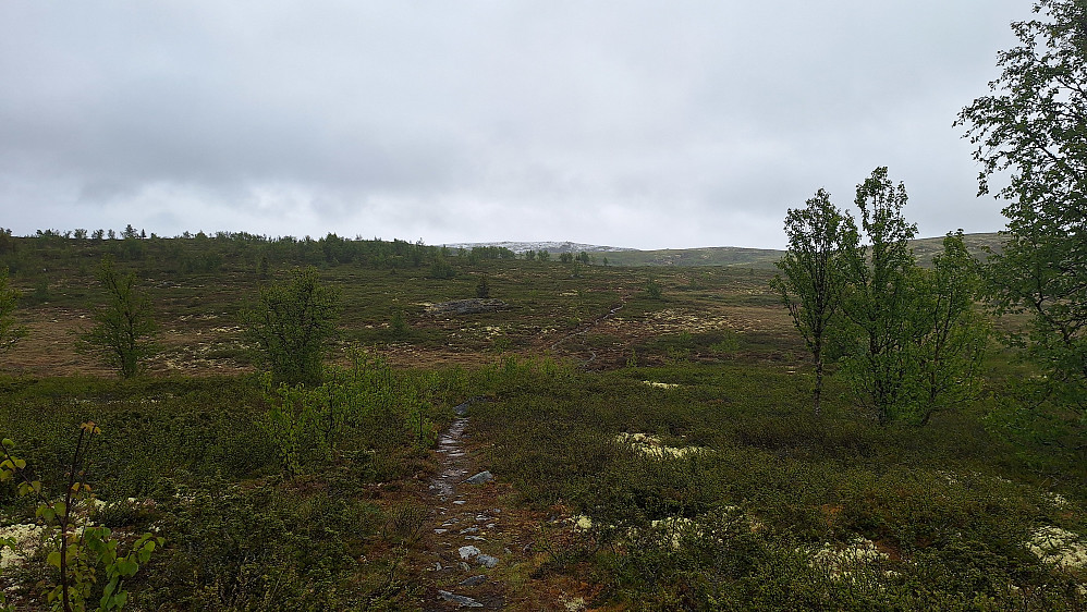 Mot Reinehamaren.