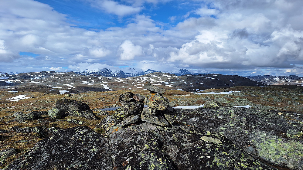 Møsaryggene.