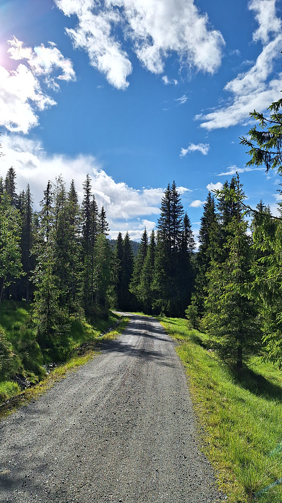 Domsjøvegen.