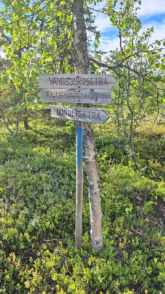 Skilting og blåmerking overalt. 