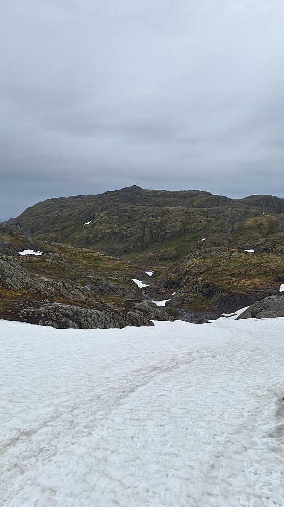 Hikefjella. 