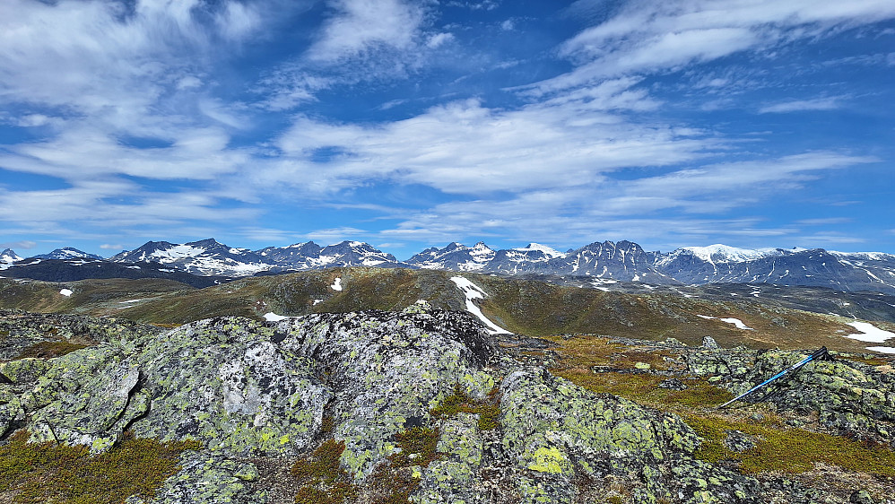 Dinglenøse. 
