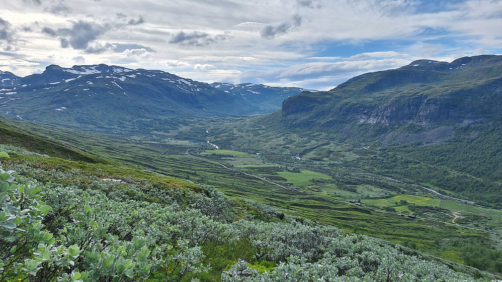 Skakadalen. 