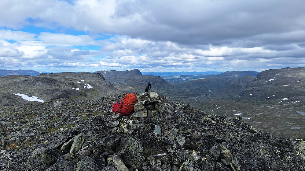 Ørnenøse.