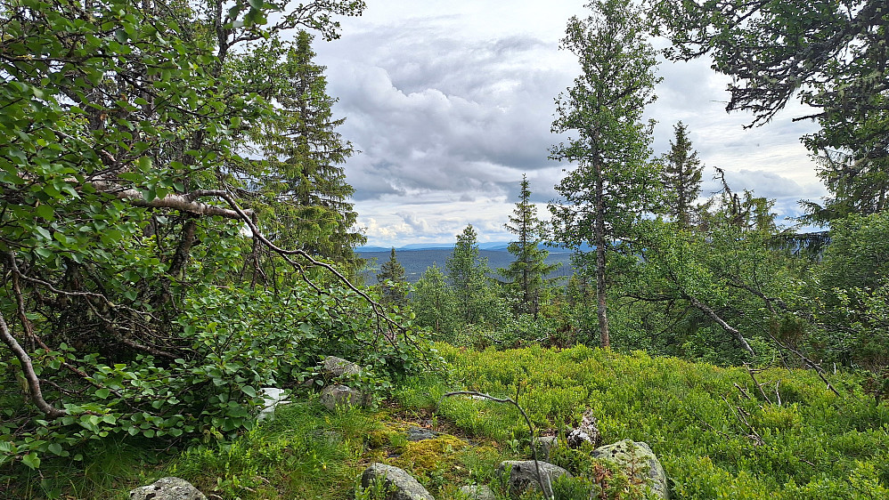 Munkhatthøgda. 