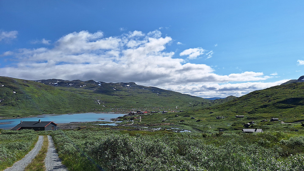 Vinjerock.