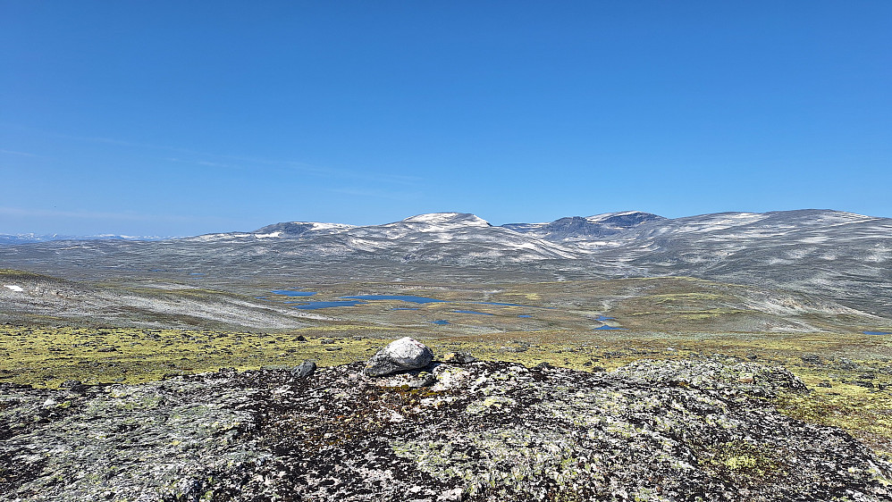 Såvårhaugen nordøst mot Gråhøe. 