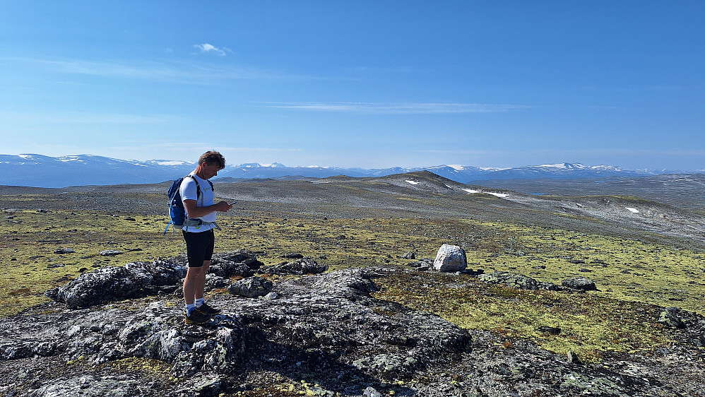 Såvårhaugen nordøst mot Såvårhaugen. 