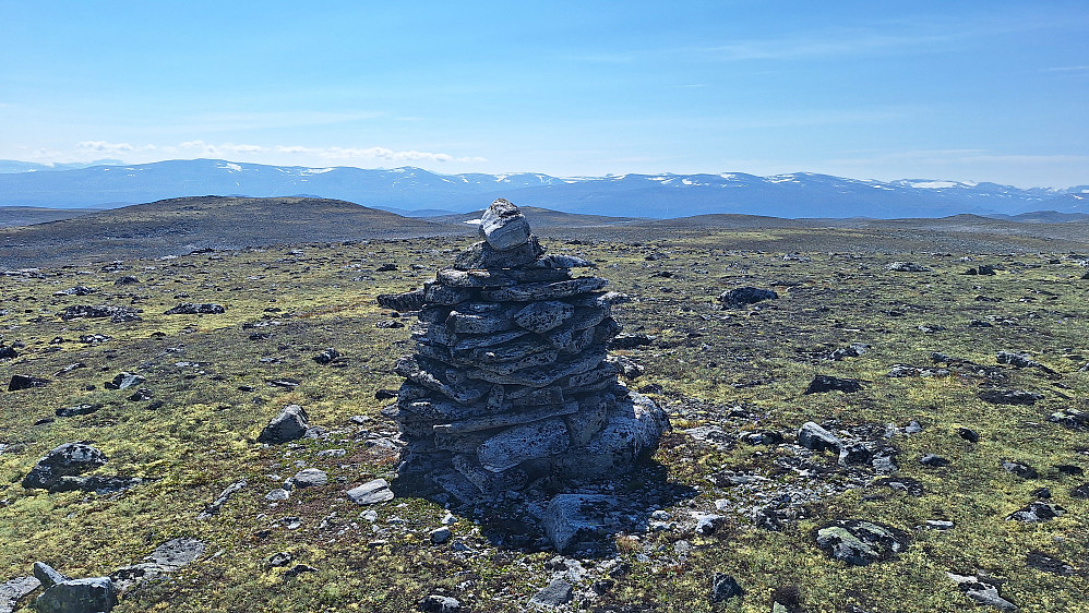 Såvårhaugen nordøst. 