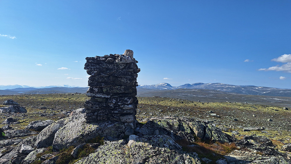 Fellingshøi mot Reinheimen.