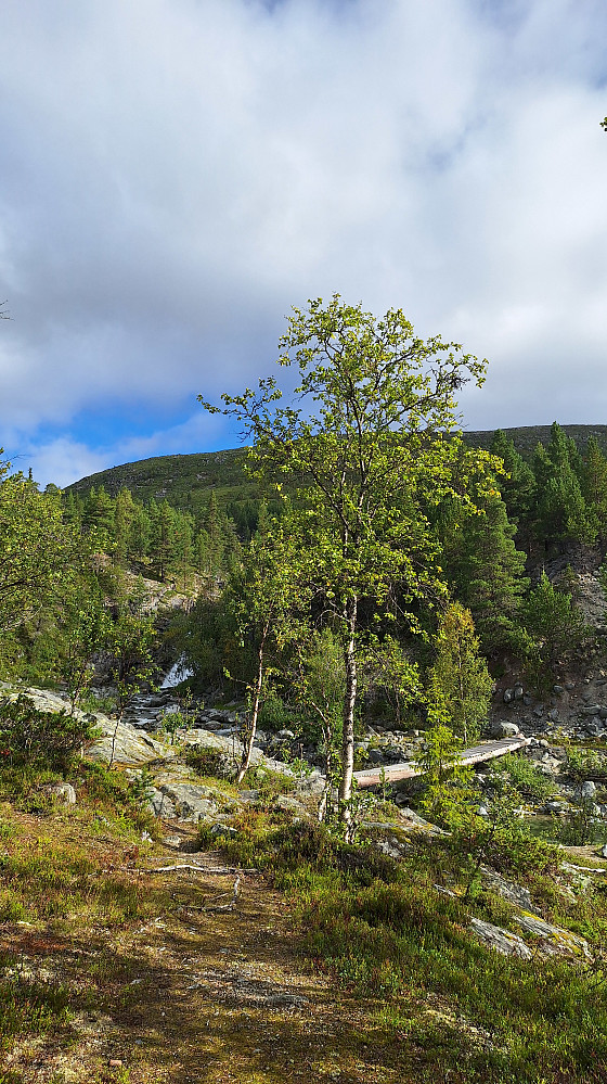 Opp lia fra Finndalen. 