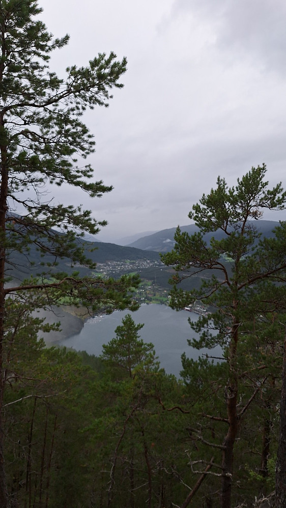 center
[[image:Line_20240818_66c1e6ef36370.jpg