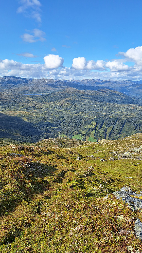 Mot Øvstedalen.