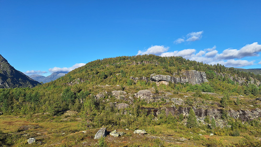 Leirmohovden. 