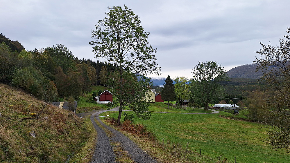 Skeisvollen