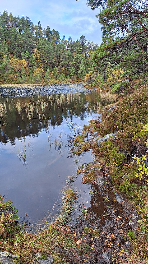 Sti gjennom Terjeråsvatnet.