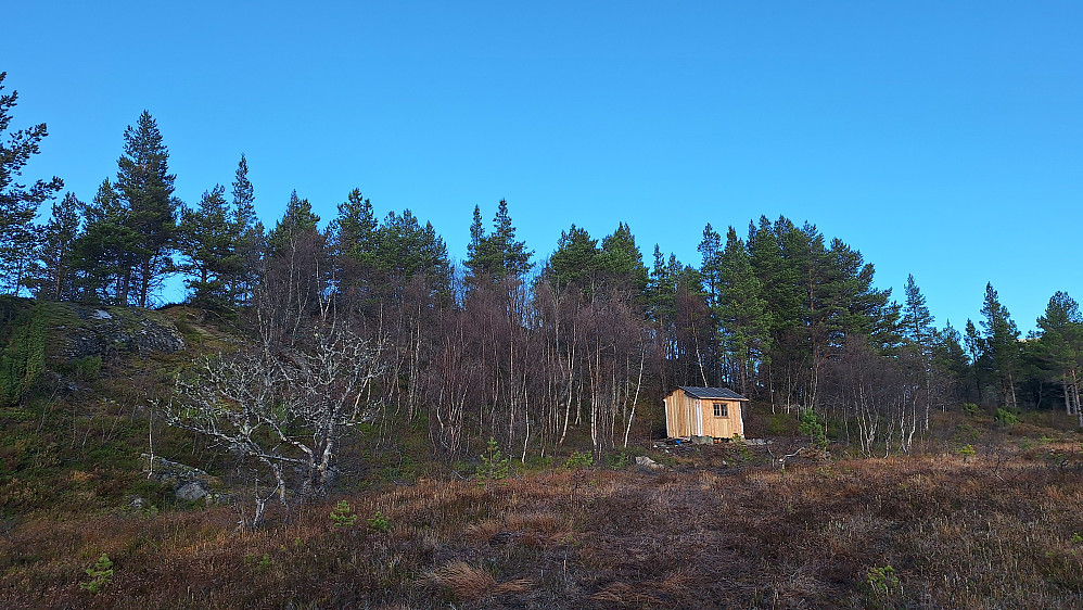 Ørnhaugen bak bua.