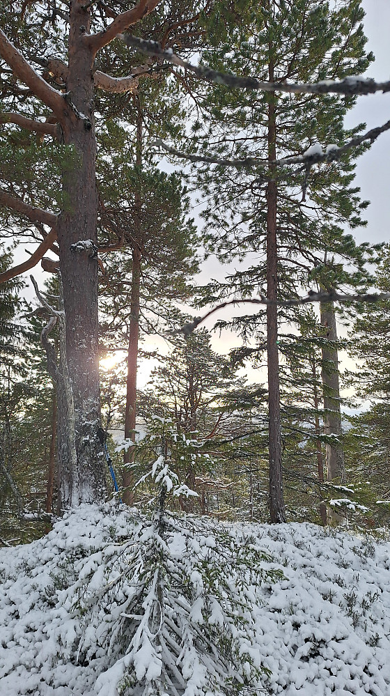 Lyarberget.