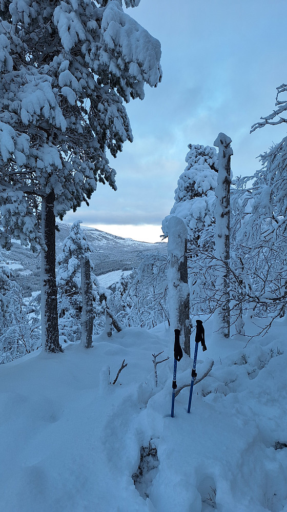 Jarphaugen.