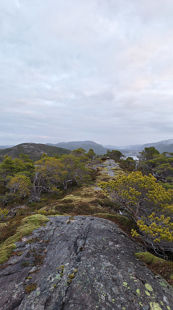Skottlifjellet. 